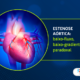 A estenose aórtica baixo-fluxo, baixo-gradiente paradoxal: critérios diagnósticos e função ventricular preservada.